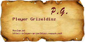 Pleyer Grizeldisz névjegykártya